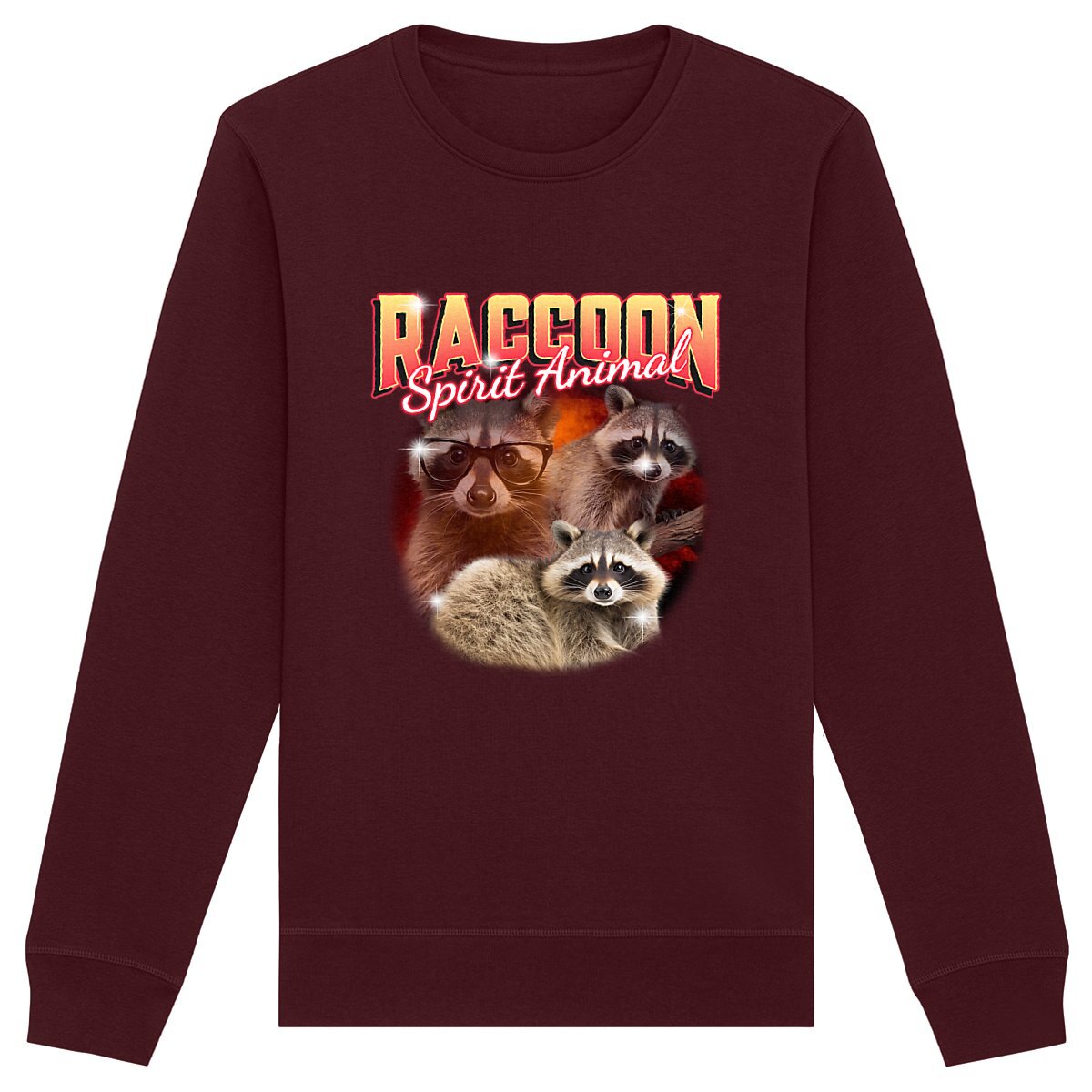 Raccoon Spirit Animal - Organic Sweatshirt