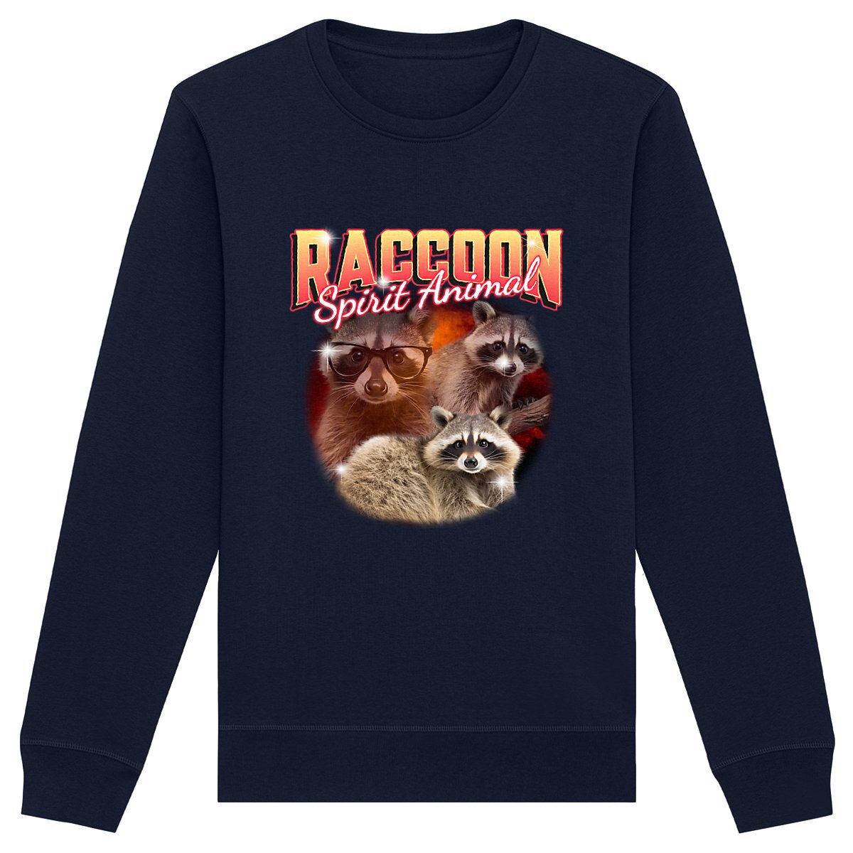 Raccoon Spirit Animal - Organic Sweatshirt