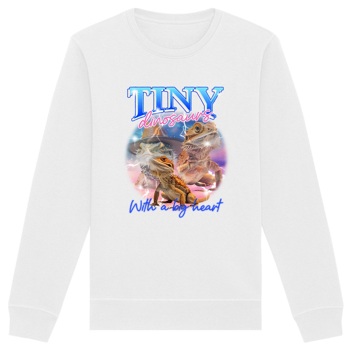 Tiny Dinosaurs - Organic Sweatshirt